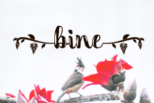 Bine Font: A Handwritten Typeface for Editorial Elegance