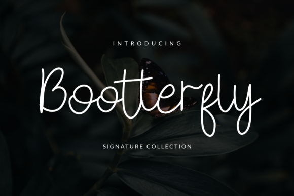 Bootterfly Font: A Modern Script for Polished Web Design