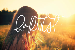 Harvest Font: A Beautiful Script for Your Brand