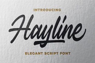 Hayline: A Premium Font for Editorial Design with Personality