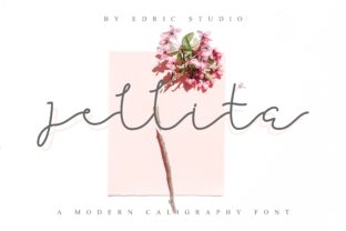 Jellita Font: A Script Typeface for Creative Web Design