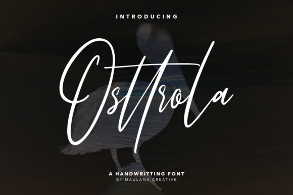 Osttrola: A Script Font That Elevates Editorial Design
