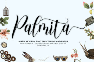 Palmita Font: A Modern Script for Digital Design