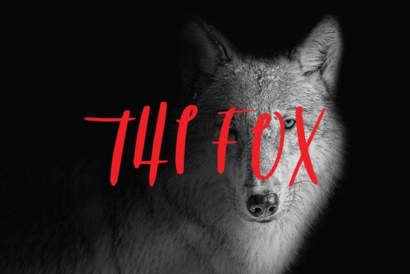 The Fox Font: A Playful Script for Editorial Design